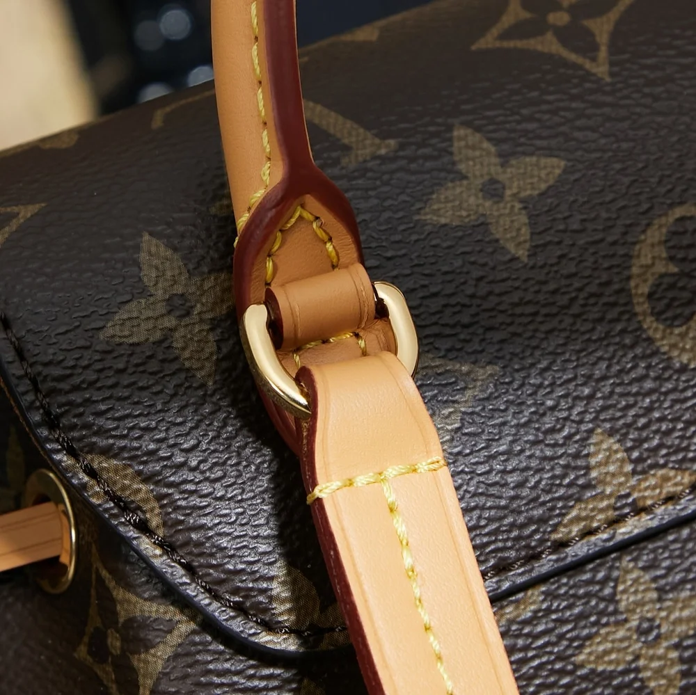 Louis Vuitton Montsouris Backpack